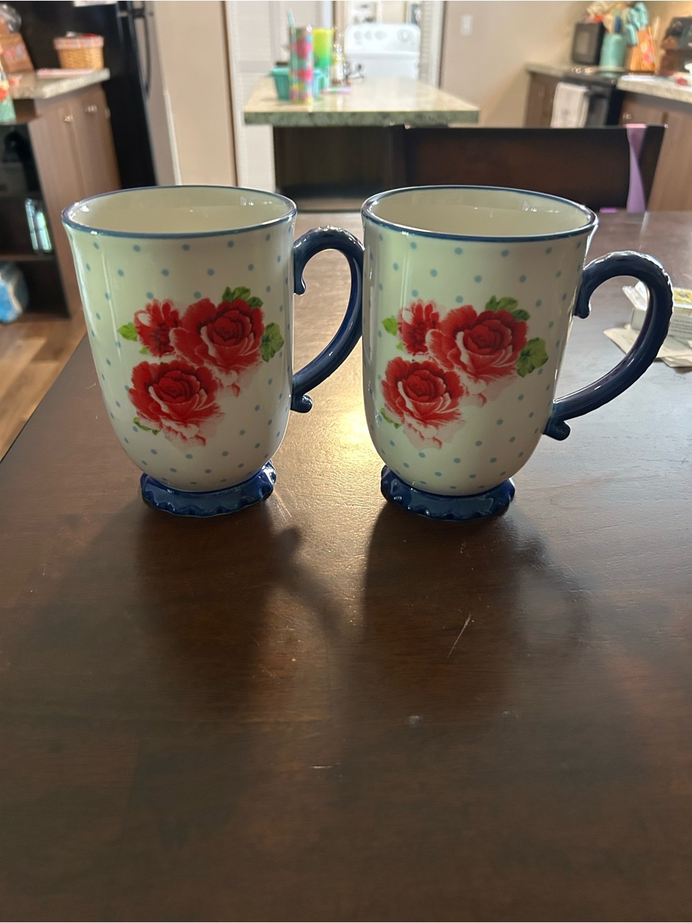 PIONEER WOMAN 2 COFFEE CUPS
